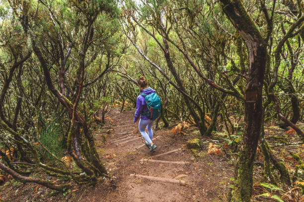 istock Female tourist with backpack walking on a stair-like path through a bright laruel forest. 25 Fontes Waterfalls, Madeira Island, Portugal, Europe. 1966336767