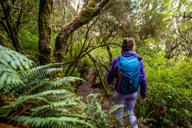istock Female tourist with backpack hikes down on a stair-like path through a bright laruel forest. 25 Fontes Waterfalls, Madeira Island, Portugal, Europe. 1966336773