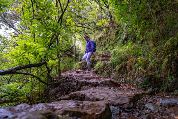 istock Low angle shot of female tourist with backpack hiking down a stary path through a deciduous forest. 25 Fontes waterfalls, Madeira Island, Portugal, Europe. 1966339255