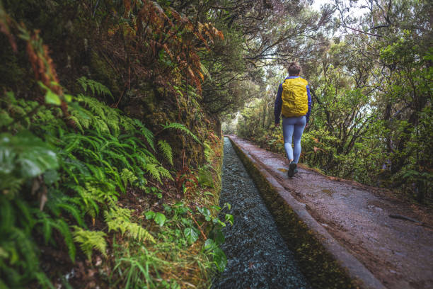 istock Female tourist with backpack walks along water channel path through a laural forest on a rainy day. 25 Fontes waterfalls, Madeira Island, Portugal, Europe. 1966349259