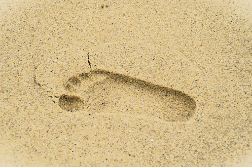 Footprints printed in the sand of the beach in Massaguaçu, north coast of São Paulo