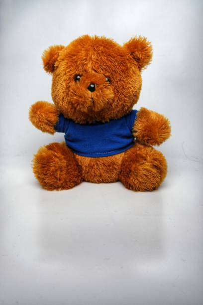 Cute brown teddy bear on white background. Toy animal doll plush stuffed sitting in the studio.