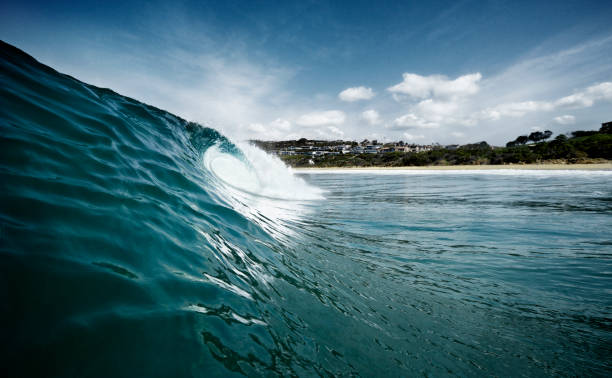 istock View of a wave from the water with the crest curling over. 1966453407