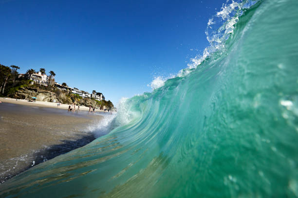 istock View of a wave from the water with the crest curling over. 1966456510