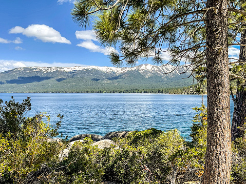 Lake Tahoe is a large lake in the mountains of Northern California. The many miles of roadway around the lake gives opportunity to many scenic views. This lake is visited by many through the year and the various seasons. On this day in spring it was an inviting view.
