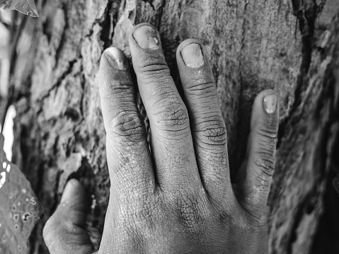 dirty hand touch nature
