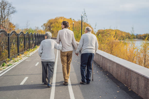 an elderly couple walks in the park with a male assistant or adult grandson. caring for the elderly, volunteering - 11877 imagens e fotografias de stock