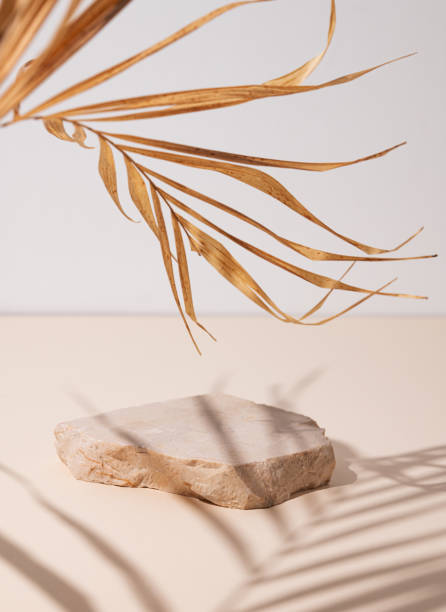 istock Beige stone slab on a textured light background with a soft shadow from a dry palm leaf. 1966730032