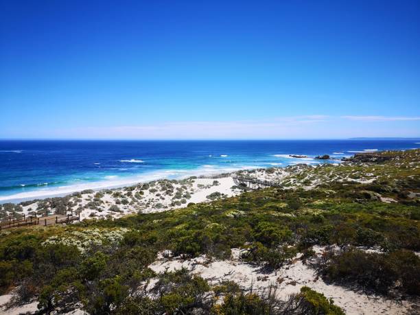 istock Seal bay landscape on Kangaroo island 1966741998