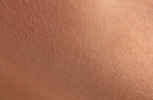 istock Human skin as an abstract background. Texture 1966748753
