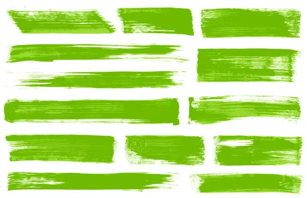 Vector illustration of Green Grunge paint brush strokes vectors