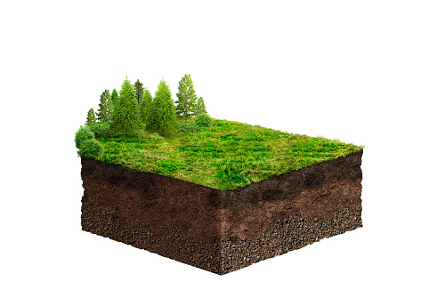 3d illustration of piece of green lawn with river. creative travel and tourism off-road design mock up.