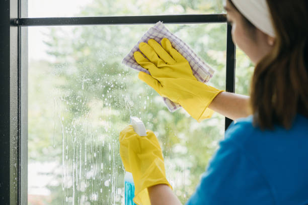 istock In an office setting a cheerful woman diligently cleans windows with a spray. Her housework emphasizes purity hygiene and transparent cleanliness ensuring sparkling windows. 1966794446
