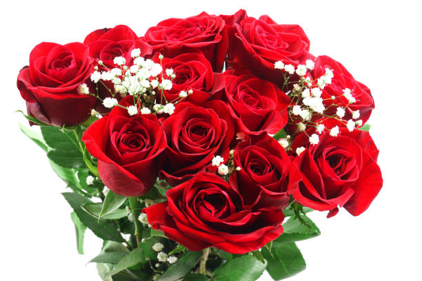 istock fresh red roses in a bouquet isolated on white background 1966814562