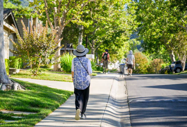 istock Three people walking on the pedestrian footpath in a leafy suburb. California. 1966833033
