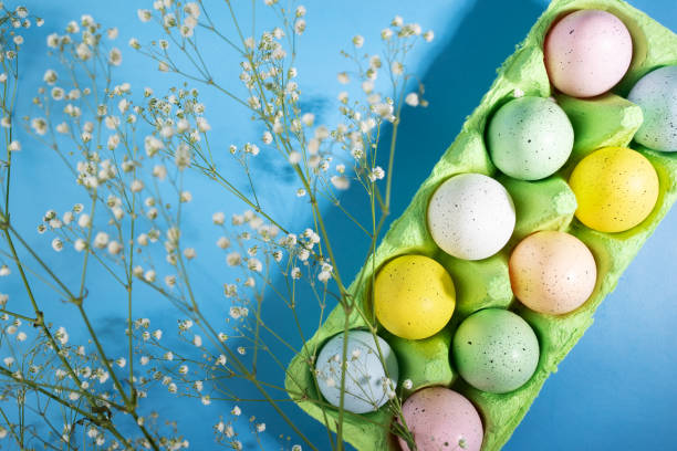 istock Food decoration for Easter, eggs in a box, spring flowers, blue backdrop, festive DIY 1966885135