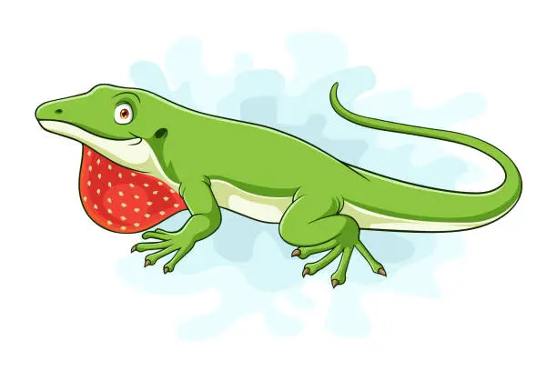 Vector illustration of Cartoon green anole lizard on white background