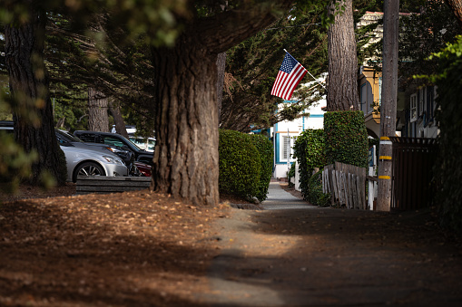 San Francisco, United States – October 14, 2023: A flag waving proudly atop a tree-lined sidewalk