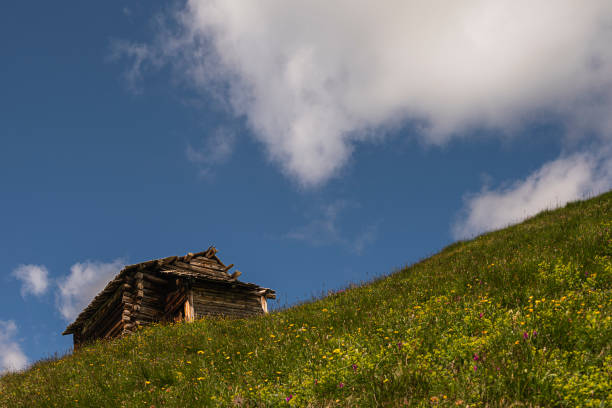 a small wooden house at seiser all in south tirol on a mountain pasture.
