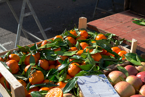 Citrus fruits, tangerines, clementines with leaves