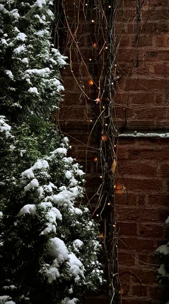istock Winter fir tree and wall 1967007642
