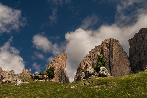 nature sceneries along the trail from Col Rodella to Val Duron, Val di Fassa, Dolomites