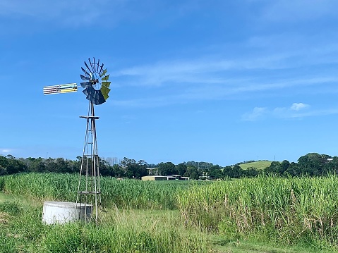 Horizontal landscape of traditional windmill wind turbine on country farm fields under a blue clear sky with tree lined horizon and cattle grazing grass in rural Mullumbimby near Byron Bay NSW Australia