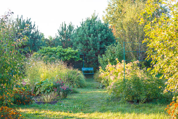 istock Beautiful ornamental garden on sunny summer day 1967087662