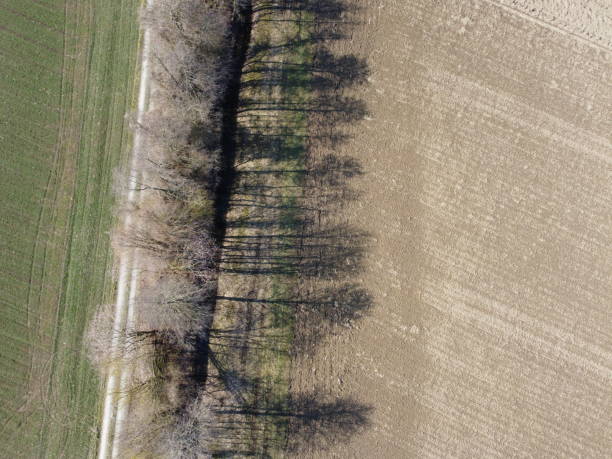 istock Long shadows from avenue deciduous trees at springtime in Bavaria 1967128908