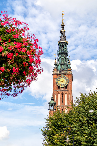 red brick church with blue sky on the background of flowers and tree leaves