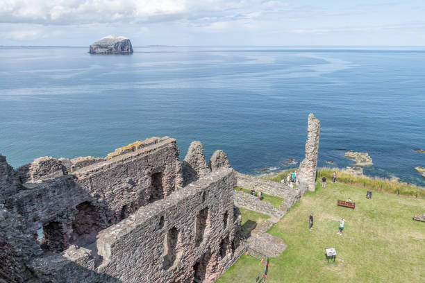 bass rock in the firth of forth with the remains of tantallon castle in the foreground, north berwick, east lothian, scotland - bass imagens e fotografias de stock