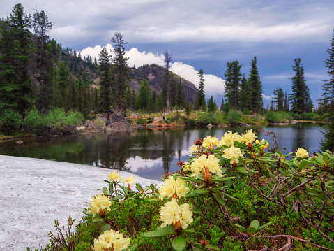 Snow capped peaks of the Rocky Mountains