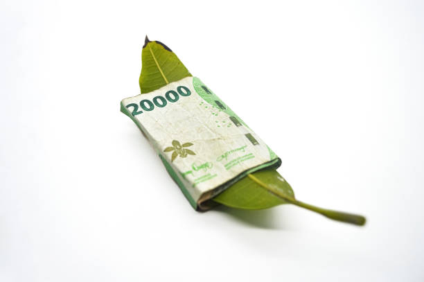 istock leaf wrapped in money worth twenty thousand rupiah isolated on white background 1967277290