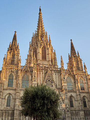 Facade of the Cathedral of the Holy Cross and Saint Eulalia (Catedral de la Santa Creu i Santa Eulàlia in Catalan), also known as Barcelona Cathedral, at sunset. Gothic Quarter, Barcelona, Spain, Europe