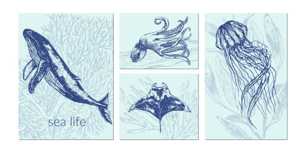 Vector sea animals illustration set Vector sea animals illustration set. Navy blue sketch of whale, octopus, jellyfish, starfish, manta ray. Wild life ocean creature vintage poster. marine life logo stock illustrations