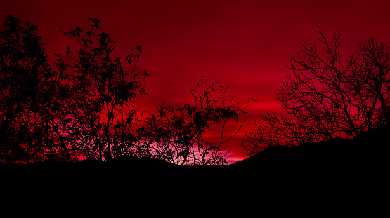 Sun setting with a dramatic sky in Hexham in the North East of England on a farm. There are trees silhouetted in the field.