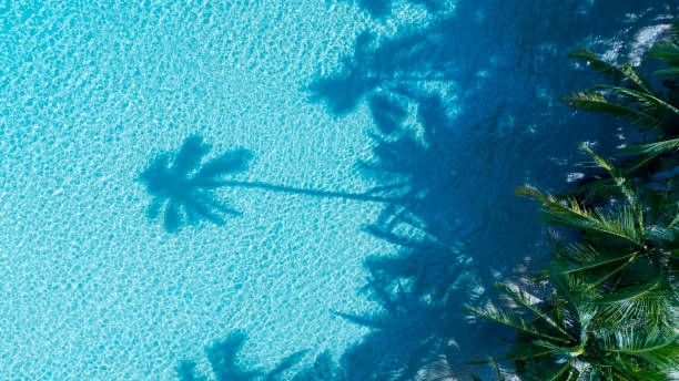 istock Summer palm tree  and Tropical beach with  Aqua waves and coconut palm shadow on blue background. 1967343184