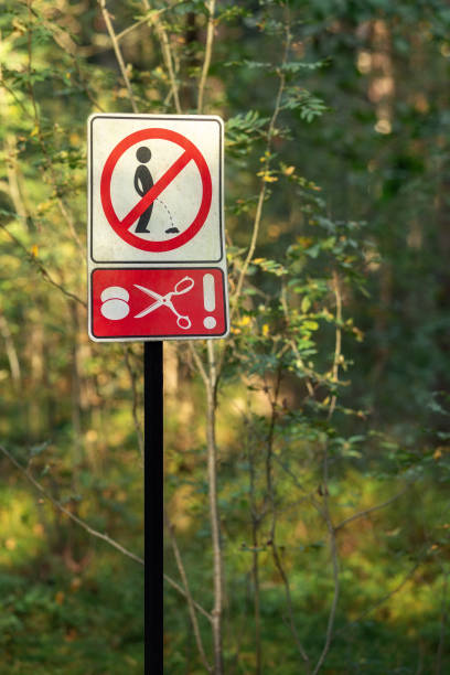 istock No toilet sign. Pedestrian path in the forest in Lithuania. 1967344782