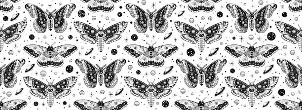 Vector illustration of Moth butterfly pattern. Seamless moon boho vector. Celestial magic abstract mystic design. Gothic witch drawing. Print with luna esoteric moth butterfly pattern. Occult sky animal mystical background
