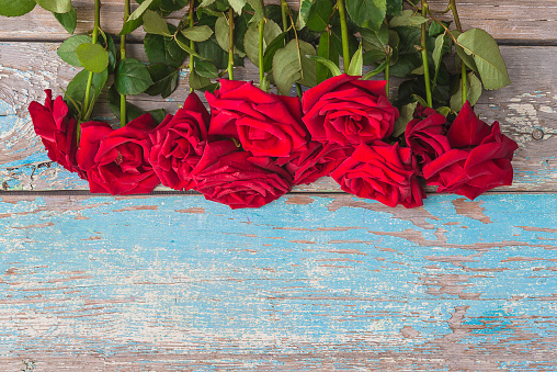 Bunch of red roses on a old blue paint wooden background;