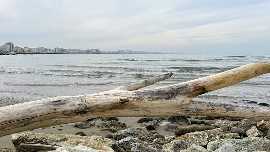 In the foreground a tree trunk washed ashore by the sea.
It's a cold winter day at the seaside, in the city of Cattolica in the province of Rimini.
The warm and soft color of the wood contrasts with the cold and gray colors of the sea and the atmosphere.