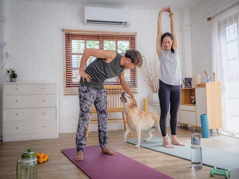 Asian mature couple doing yoga or strength training exercises together in living room with their dog at home, People enjoy a sport activity in living room, Relaxing exercise and healthy lifestyle, Wellbeing and Active lifestyle