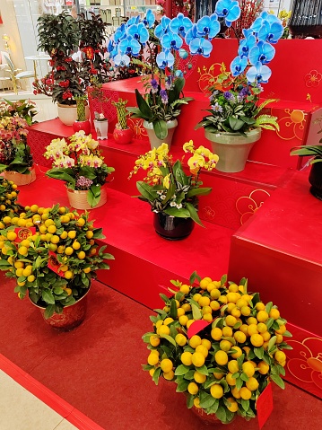 Chinese New Year Flower Decoration