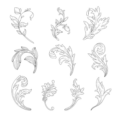 Retro flower pattern decorative design. Baroque scroll design element