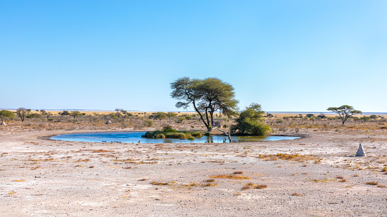 View over a waterhole at Onguma Game Reserve ( neighbour of Etosha National Park), Namibia.  Horizontal.