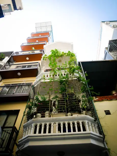 Photo of Lookup view complex high-rise apartment buildings blocks steel cage vining plants, downtown Hanoi popular tiger cages or bird nest problem issue blocking routes for firefighters if fire blaze