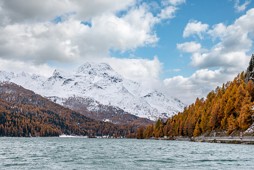 Lake Silsersee in autumn with snowcapped Piz da la Margna at the Maloja pass, Switzerland