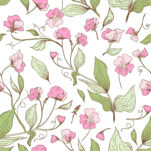 Vector illustration of Sweet Pea Seamless Pattern