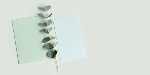 istock Greeting or invitation card mockup with eucalyptus branches. Close up Card with copy space in green tones, minimal flat lay. Delicate still life, green pastel top view. Natural organic business 1967534199