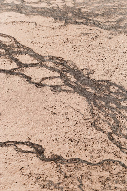 istock Abstract relief rough gritty neutral beige surface of background texture. Aesthetic pattern on sandstone. Top view textured sand, natural ornament or wallpaper, macro photo shore salt lake 1967534233